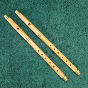 Bourbon Ordinance Model - Modelo de Ordenanza Borbon